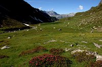 Al Rifugio Taglaferri salendo dalla Diga-Valle del Gleno il 28 giugno 2009 - FOTOGALLERY